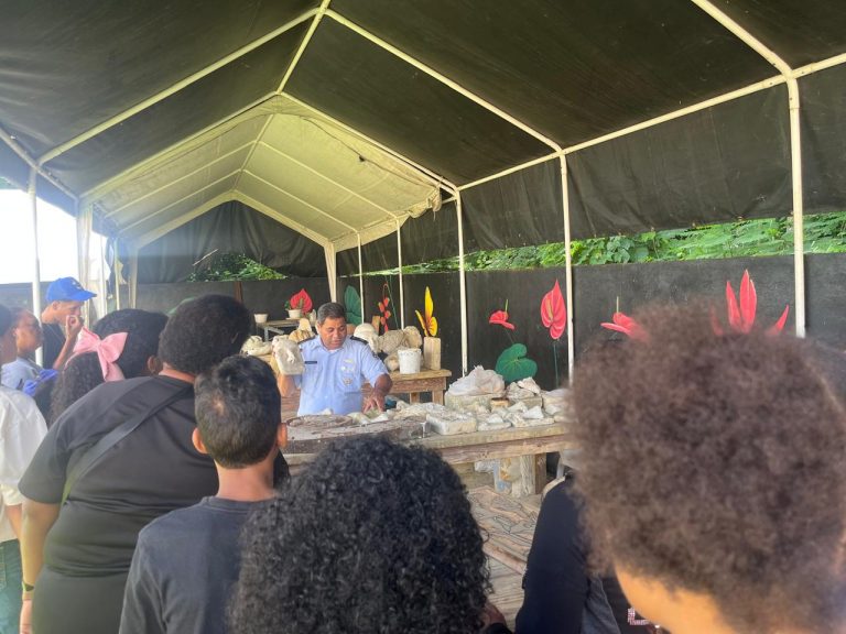 Recorrido la FARD